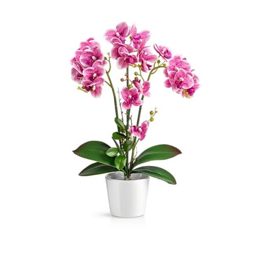 PASCH® Orchideen Künstlich in Hochglanz-Keramiktöpfen (46cm) | Kunstblumen Wie Echt | Künstliche Blumen im Topf (Weiß-Rosé) von PASCH