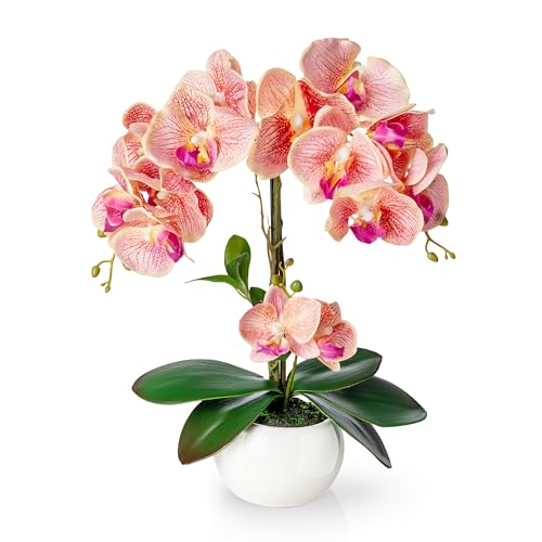 PASCH® Orchideen künstlich in Hochglanz-Keramiktopf (40cm) | Kunstblumen im Topf | Kunstblumen wie echt | künstliche Orchideen im Topf | künstliche Blumen im Topf | Kunstblume Orchidee von PASCH