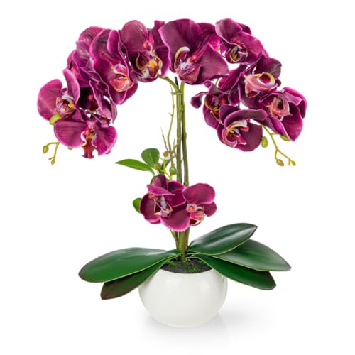 PASCH® Orchideen künstlich in Hochglanz-Keramiktopf (40cm) | Kunstblumen im Topf | Kunstblumen wie echt | künstliche Orchideen im Topf | künstliche Blumen im Topf | Kunstblume Orchidee von PASCH