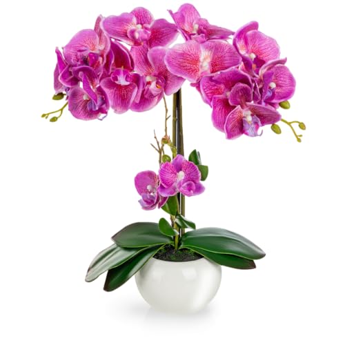 PASCH® Orchideen künstlich in Hochglanz-Keramiktopf (40cm) | Kunstblumen im Topf | Kunstblumen wie echt | künstliche Orchideen im Topf | künstliche Blumen im Topf | Kunstblume Orchidee von PASCH