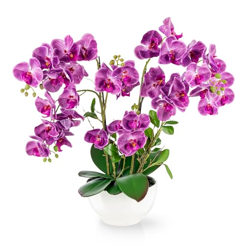PASCH® XXL Kunstblume Orchidee groß (56cm) in Hochglanz-Keramiktopf | Orchideen künstlich | Kunstblumen wie echt | künstliche Orchideen im Topf | künstliche Blumen im Topf | Kunstblumen im Topf (Lila) von PASCH