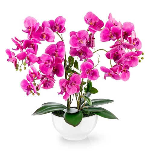 PASCH® XXL Kunstblume Orchidee groß (56cm) in Hochglanz-Keramiktopf | Orchideen künstlich | Kunstblumen wie echt | künstliche Orchideen im Topf | künstliche Blumen im Topf | Kunstblumen im Topf (Rosa) von PASCH