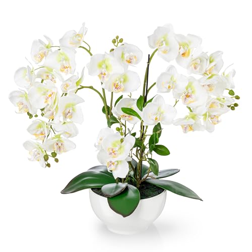 PASCH® XXL Kunstblume Orchidee groß (56cm) in Hochglanz-Keramiktopf | Orchideen künstlich | Kunstblumen wie echt | künstliche Orchideen im Topf | künstliche Blumen im Topf (Weiß) von PASCH
