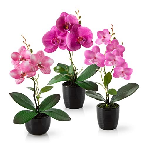 PASCH® Kunstblumen im Topf (35cm) - 3er Set Orchideen künstlich abgestimmtes Arrangement in Hochglanz-Keramiktöpfen - Höhe 35cm, Deko Blumen künstlich, künstliche Orchideen (Rosé-Arrangement) von PASCH