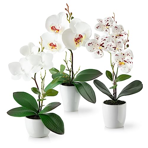 PASCH® Kunstblumen im Topf (35cm) - 3er Set Orchideen künstlich abgestimmtes Arrangement in Hochglanz-Keramiktöpfen, Deko Blumen künstlich, künstliche Orchideen (Weiß-Arrangement) von PASCH