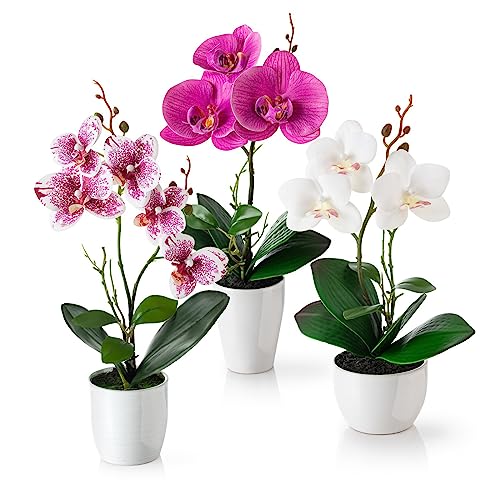 PASCH® Kunstblumen im Topf (35cm) - 3er Set Orchideen künstlich abgestimmtes Arrangement in Hochglanz-Keramiktöpfen, Deko Blumen künstlich, künstliche Orchideen (Weiß-Rosé) von PASCH