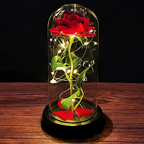 Die Schöne und das Biest Geschenke für Frauen Rose Ewige Rose im Glas mit Licht in Glaskuppel und Gefallenen Blütenblättern Geburtstagsgeschenk für Frauen Mama Freundin Muttertagsgeschenk Jahrestag von PASDTFB