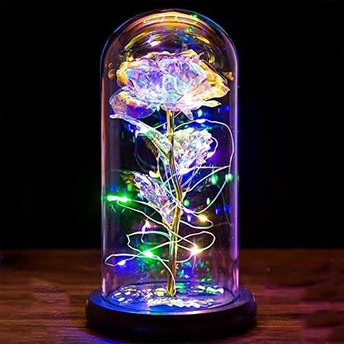 Die Schöne und das Biest Rose Muttertagsgeschenke für Mama Ewige Rose im Glas mit Licht in Glaskuppel Geschenke für Frauen Galaxy Rose Geschenke für Mama Mutter Frau Oma Geburtstag Jahrestag Hochzeits von PASDTFB