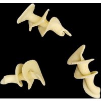 Philips Nudelscheibe - Filetto, Trecce Rigati, Silatelli, Fusilli Rigati von PASTADISC