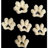Philips Pasta Disc - Keksscheiben von PASTADISC