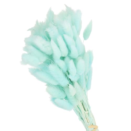 PATIKIL 15,7 Zoll Hasenschwanz getrocknete Blumen, 120 Stück Pampasgras Dekor Kaninchen Schwanz Natürliches Pampasgras Großvolumiges Flauschiges für Zuhause Boho Dekor Vase, Hellblau PATIKIL 15,7 Zoll Hasenschwanz getrocknete Blumen, 120 Stück Pampasgras Dekor Kaninchen Schwanz Natürliches Pampasgras Großvolumiges Flauschiges für Zuhause Boho Dekor Vase, Hellblau von PATIKIL