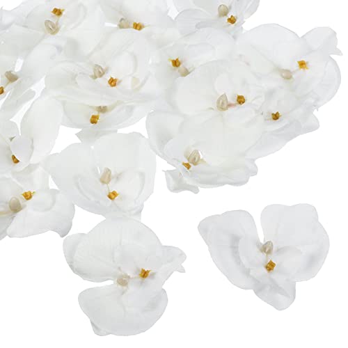 PATIKIL 20Pack 2.8" Künstliche Orchidee Blumenköpfe Seide Phalaenopsis Falsche Schmetterling Orchidee Köpfe für Hochzeit Blumenstrauß Dekor Heimwerker Herstellung Pure Weiß von PATIKIL