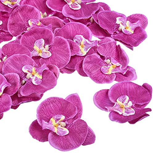 PATIKIL 20Pack 3.9" Künstliche Orchidee Blumenköpfe Seide Phalaenopsis Falsche Schmetterling Orchidee Köpfe für Hochzeit Blumenstrauß Dekor Heimwerker Herstellung Dunkel Violett von PATIKIL