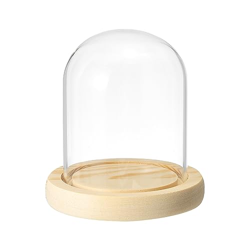 PATIKIL 3.9"x3.1" Klar Cloche Glaskuppel Glas Glocke Vitrine Tischplatte Tafelaufsatz mit Holzsockel für LED Licht Pflanzen Heimdekoration PATIKIL 3.9"x3.1" Klar Cloche Glaskuppel Glas Glocke Vitrine Tischplatte Tafelaufsatz mit Holzsockel für LED Licht Pflanzen Heimdekoration von PATIKIL