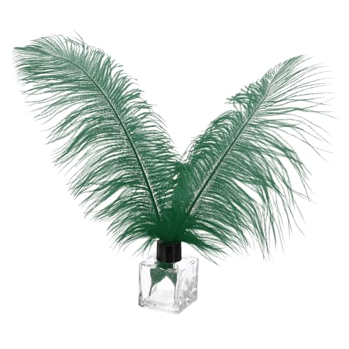 PATIKIL 30 Stück Natürliche Straußenfedern Großhandel 10-12 Zoll / 25-30 cm Große Straußenfedern für Federn Basteln, Heimdekoration, Hochzeitsfeier, Vasendekor (Dunkelgrün) von PATIKIL