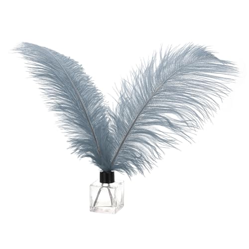 PATIKIL 30 Stück Natürliche Straußenfedern Großhandel 14-16 Zoll / 35-40 cm Große Straußenfedern für Basteln, Heimdekoration, Hochzeitsfeier, Vasendekor (Grau) von PATIKIL