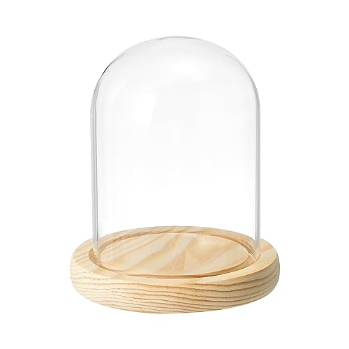 PATIKIL 4.7"x3.5" Klar Cloche Glaskuppel Glas Glocke Glas Vitrine Tischplatte Mittelstück mit Hölzerne Basis für LED Licht Pflanzen Haus Dekoration von PATIKIL