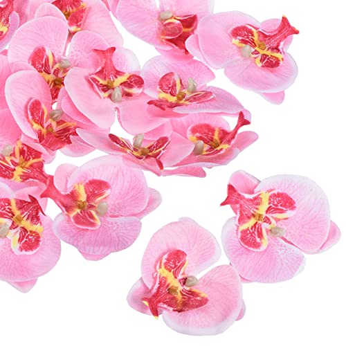 PATIKIL 40Pack 2.8" Künstliche Orchidee Blumenköpfe Seide Phalaenopsis Falsche Schmetterling Orchidee Köpfe für Hochzeit Blumenstrauß Dekor Heimwerker Herstellung Rosa von PATIKIL
