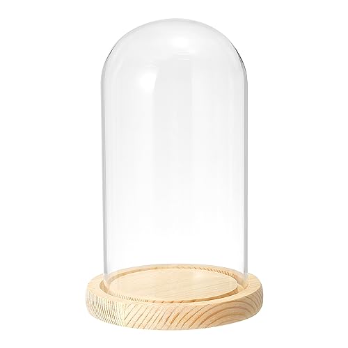 PATIKIL 7.5"x3.9" Klar Cloche Glaskuppel Glas Glocke Vitrine Tischplatte Tafelaufsatz mit Holzsockel für LED Licht Pflanzen Heimdekoration PATIKIL 7.5"x3.9" Klar Cloche Glaskuppel Glas Glocke Vitrine Tischplatte Tafelaufsatz mit Holzsockel für LED Licht Pflanzen Heimdekoration von PATIKIL