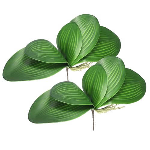 PATIKIL Künstliche Orchideenblätter 7,1 Zoll, 2er Pack Kleine Kunstblätter aus Phalaenopsis, Echte Latex-Touch Grünpflanze mit 5 Blättern und Stielen für Dekoration von Blumentöpfen, Grün PATIKIL Künstliche Orchideenblätter 7,1 Zoll, 2er Pack Kleine Kunstblätter aus Phalaenopsis, Echte Latex-Touch Grünpflanze mit 5 Blättern und Stielen für Dekoration von Blumentöpfen, Grün von PATIKIL