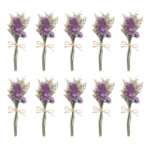 PATIKIL Mini Getrockneter Blumenstrauß, 10 Stück Vergissmeinnicht Natürliche Wildblumen mit Stiel Dekor Gipskraut Boho Blumen Pflanze Blume für Basteln DIY Foto, Dunkellila von PATIKIL
