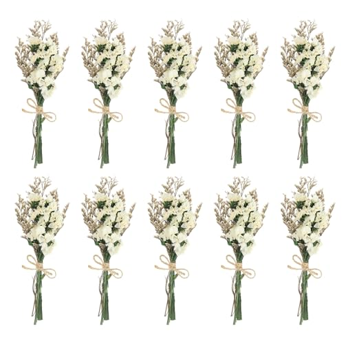 PATIKIL Mini-Trockenblumenstrauß, 10 Stück Vergissmeinnicht Naturwilde Blumen mit Stiel Dekor Gänseblümchen Boho Blumenpflanze für Basteln DIY Foto-Requisiten, Weiß PATIKIL Mini-Trockenblumenstrauß, 10 Stück Vergissmeinnicht Naturwilde Blumen mit Stiel Dekor Gänseblümchen Boho Blumenpflanze für Basteln DIY Foto-Requisiten, Weiß von PATIKIL