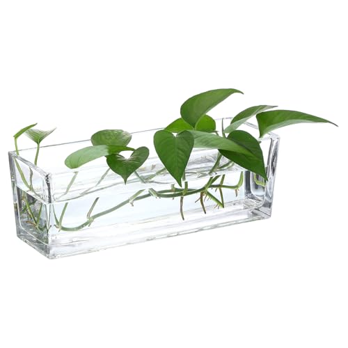 PATIKIL Rechteckige Glasvase 30x10x10 cm, 1 Stück Klarer Pflanzentopf Terrarium für Hochzeit von PATIKIL