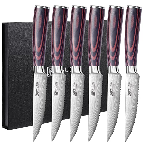 PAUDIN Steakmesser 6-teiliges Set, hochwertiger deutscher Edelstahl Steak Messer, ultrascharfe gezackte Klinge und ergonomischer Holzgriff, Tafelmesser mit Geschenkbox von PAUDIN