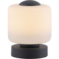 LED-Tischleuchte 4037-13 anthrazit, 5 w, 580 lm, 3000 k - Paul Neuhaus LED-Tischleuchte 4037-13 anthrazit, 5 w, 580 lm, 3000 k - Paul Neuhaus von PAUL NEUHAUS