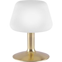 Paul Neuhaus - LED-Tischleuchte 4078-60 messing-matt, 2,6 w, 265 lm, 3000 k von PAUL NEUHAUS