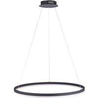 Paul Neuhaus LED Pendelleuchte Titus in Anthrazit 800 mm - black von PAUL NEUHAUS