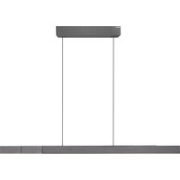 Neuhaus Pure Pendelleuchte PURE-MOTO-RISE, Aluminium von Neuhaus Pure