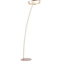 Paul Neuhaus Stehlampe "TITUS", 1 flammig, Leuchtmittel LED-Board LED fest integriert, LED, dimmbar über Schnurdimmer Paul Neuhaus Stehlampe "TITUS", 1 flammig, Leuchtmittel LED-Board LED fest integriert, LED, dimmbar über Schnurdimmer von PAUL NEUHAUS