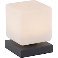 Paul Neuhaus Tischleuchte "DADOA", 1 flammig, Leuchtmittel LED-Board  LED fest integriert, LED, dimmbar über Touchdimmer von PAUL NEUHAUS