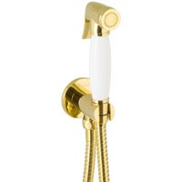 Paulgurkes - Bidet Gold Spraybrause Unterputz Bidet-Set Intimdusche Hygienedusche von PAULGURKES