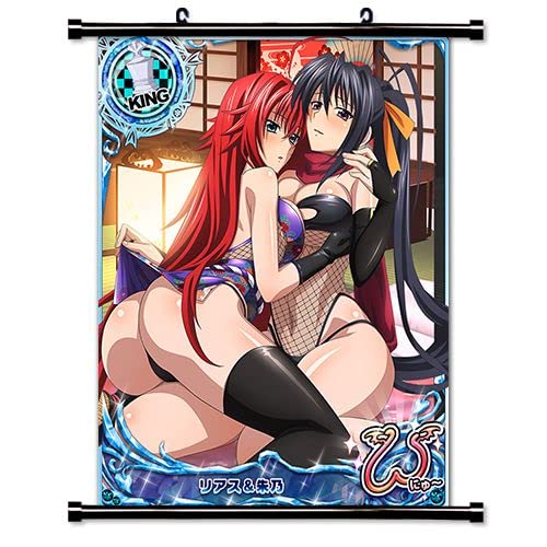 High School DxD Anime Wandbild Stoff Poster 40,6 x 50,8 cm von PAVAYA