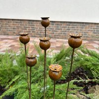 Rostige Metall Mohn Garten Dekoration - Set Mit 6 Stück von PAVAmetaldecor