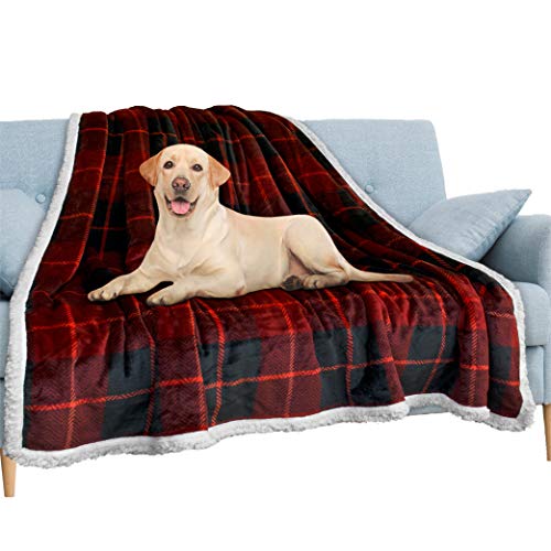 PAVILIA Wasserdichte Decke für Couch, Sofa | Wasserdichte Hundedecke für große Hunde, Welpen, Katze | Haustierdecke Schutz | Plüsch Weich Warm Fuzzy Sherpa Decke Bett Überwurf, Plaid Rot, 60x80 von PAVILIA