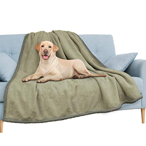 PAVILIA Wasserdichte Decke für Couch, Sofa, wasserdichte Hundedecke für große Hunde, Welpen, Katzen, Haustierdeckenschutz, Plüsch, weich, warm, flauschig, Sherpa-Decke, Bettüberwurf, Taupe, 60 x 80 cm PAVILIA Wasserdichte Decke für Couch, Sofa, wasserdichte Hundedecke für große Hunde, Welpen, Katzen, Haustierdeckenschutz, Plüsch, weich, warm, flauschig, Sherpa-Decke, Bettüberwurf, Taupe, 60 x 80 cm von PAVILIA