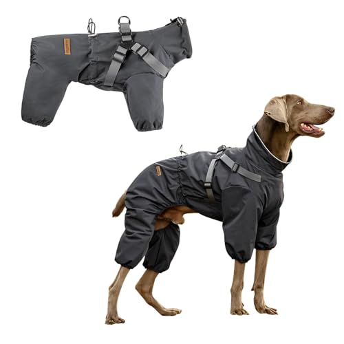 PAWBOSE Hunderegenmantel mit Geschirr für kleine und mittlere Hunde, verstellbare wasserdichte Hunderegenjacke, reflektierender regenfester Hunde 4 Beine Regenmantel-Grau, 2XL PAWBOSE Hunderegenmantel mit Geschirr für kleine und mittlere Hunde, verstellbare wasserdichte Hunderegenjacke, reflektierender regenfester Hunde 4 Beine Regenmantel-Grau, 2XL von PAWBOSE