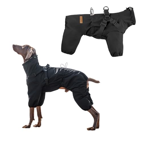 PAWBOSE Hunderegenmantel mit Geschirr für kleine und mittlere Hunde, verstellbare wasserdichte Hunderegenjacke, reflektierender regenfester Welpe 4 Beine Regenmantel Schwarz, XL PAWBOSE Hunderegenmantel mit Geschirr für kleine und mittlere Hunde, verstellbare wasserdichte Hunderegenjacke, reflektierender regenfester Welpe 4 Beine Regenmantel Schwarz, XL von PAWBOSE