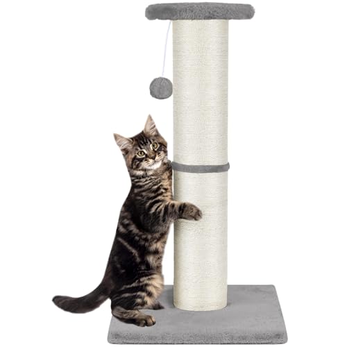 PAWSCRAT Kratzbaum für Katzen, 81,3 cm hoch, großer Durchmesser, Natursisal, Katzenkratzbaum mit baumelndem Ball, kratzfest und langlebig, für Indoor-Katzen, Schützen Sie Ihre Möbel, Hellgrau PAWSCRAT Kratzbaum für Katzen, 81,3 cm hoch, großer Durchmesser, Natursisal, Katzenkratzbaum mit baumelndem Ball, kratzfest und langlebig, für Indoor-Katzen, Schützen Sie Ihre Möbel, Hellgrau von PAWSCRAT