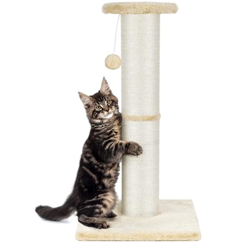 PAWSCRAT Kratzbaum für Katzen, 81,3 cm hoch, großer Durchmesser, natürlicher Sisal, Katzenkratzbaum mit baumelndem Ball, Kratzfest und langlebig, hoher Katzenkratzer für Indoor-Katzen, Schützen Sie PAWSCRAT Kratzbaum für Katzen, 81,3 cm hoch, großer Durchmesser, natürlicher Sisal, Katzenkratzbaum mit baumelndem Ball, Kratzfest und langlebig, hoher Katzenkratzer für Indoor-Katzen, Schützen Sie von PAWSCRAT