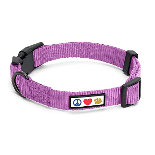 Pawtitas stabiles Welpen-Halsband Haustier-Halsband einfaches Hunde-Halsband Mittel Hunde-Halsband Lila Orchidee Hunde-Halsband von PAWTITAS