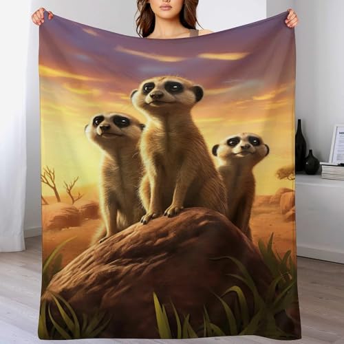 Decke Erdmännchen Decke, Warme Flannel Fleecedecke Als Sofadecke, Couchdecke, Sofaüberwurf Und Bettdecke, Weiche Wohndecke Für Couch Und Sofa（100×130cm） von PAZZK