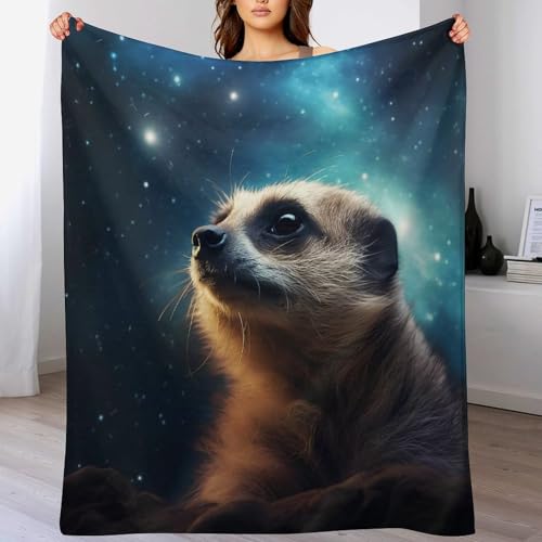 Decke Erdmännchen Decke, Warme Flannel Fleecedecke Als Sofadecke, Couchdecke, Sofaüberwurf Und Bettdecke, Weiche Wohndecke Für Couch Und Sofa（180×200cm） von PAZZK