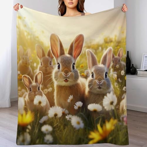 Kaninchen Anime-Charaktere Decke Decke Flannel Sofadecke Strandtuch Teppich Picknickdecke Weich & Plüsch Umhang Für Schlafzimmer, Alle Jahreszeiten（150×200cm） von PAZZK