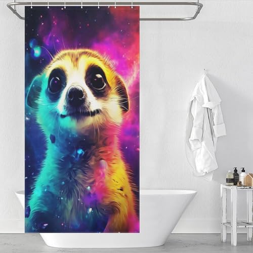 PAZZK Erdmännchen Duschvorhang, Wasserdichter Waschbar Stoff Polyester Badewanne Vorhang Mit 12 Duschvorhängeringen, 36x72Inch（92x183cm） von PAZZK