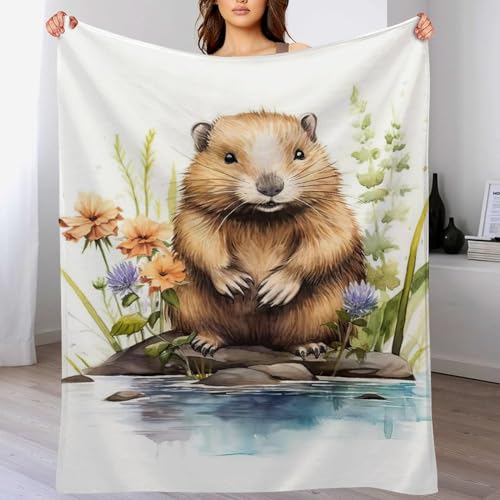 PAZZK Kuscheldecke Biber Decke Tagesdecke - Weiche Flannel Decke Mit Muster Sofadecke - Baumwolldecke Wohndecke Sofaüberwurf Bettüberwurf（150×200cm） von PAZZK