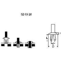 PB Fastener 301-0799-001 Spreizniete Loch-Ø 4mm Schwarz von PB Fastener